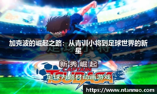 jinnian金年会
